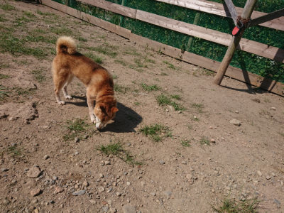 f:id:roukenhome-ann:20190811184942j:plain