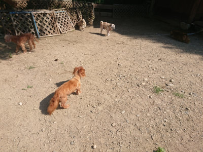 f:id:roukenhome-ann:20190811185756j:plain