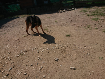 f:id:roukenhome-ann:20190811185837j:plain