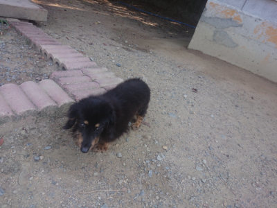 f:id:roukenhome-ann:20190811185855j:plain