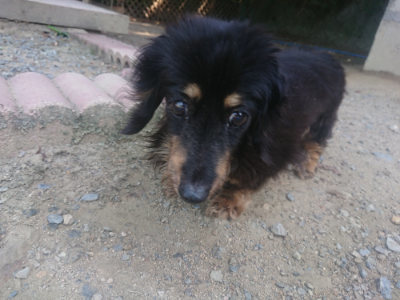 f:id:roukenhome-ann:20190811185859j:plain