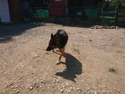 f:id:roukenhome-ann:20190811185906j:plain
