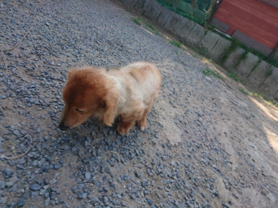 f:id:roukenhome-ann:20190811185914j:plain