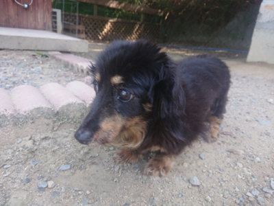 f:id:roukenhome-ann:20190811185926j:plain