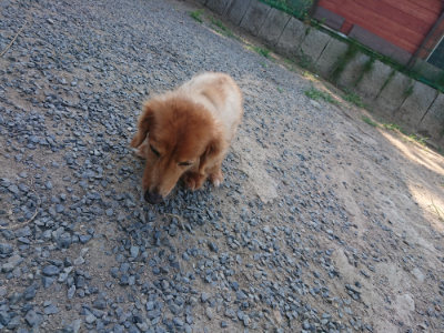 f:id:roukenhome-ann:20190811185941j:plain