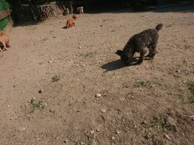 f:id:roukenhome-ann:20190811185947j:plain