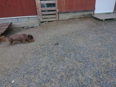 f:id:roukenhome-ann:20190811190010j:plain