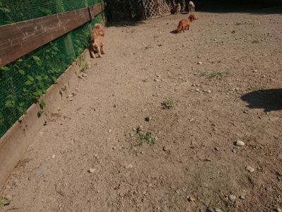 f:id:roukenhome-ann:20190811190017j:plain