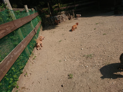 f:id:roukenhome-ann:20190811190025j:plain