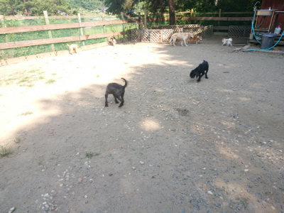 f:id:roukenhome-ann:20190811190030j:plain