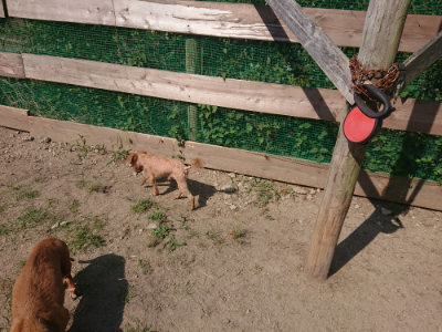 f:id:roukenhome-ann:20190811190105j:plain