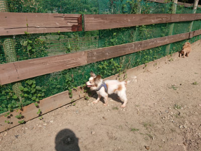 f:id:roukenhome-ann:20190811190124j:plain