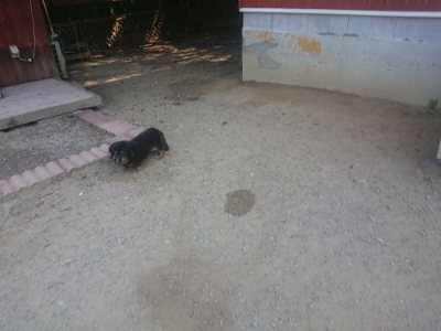 f:id:roukenhome-ann:20190811190130j:plain