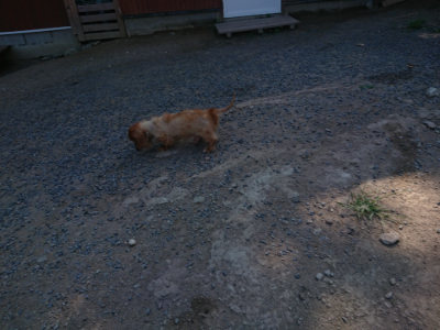f:id:roukenhome-ann:20190811190140j:plain
