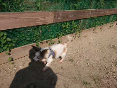 f:id:roukenhome-ann:20190811190644j:plain