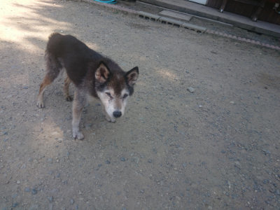 f:id:roukenhome-ann:20190811190707j:plain