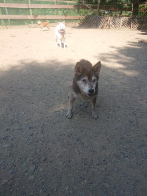 f:id:roukenhome-ann:20190811190726j:plain