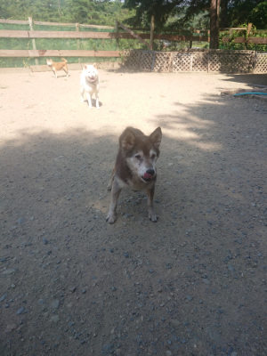 f:id:roukenhome-ann:20190811190743j:plain