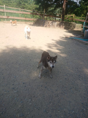 f:id:roukenhome-ann:20190811190801j:plain
