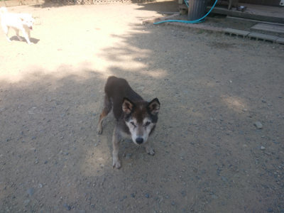 f:id:roukenhome-ann:20190811190943j:plain