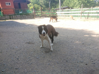 f:id:roukenhome-ann:20190811191355j:plain