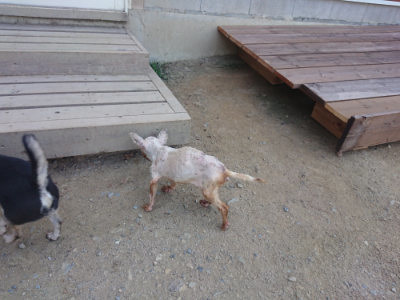 f:id:roukenhome-ann:20190811191452j:plain