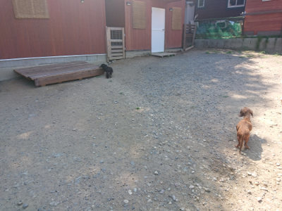 f:id:roukenhome-ann:20190811191543j:plain