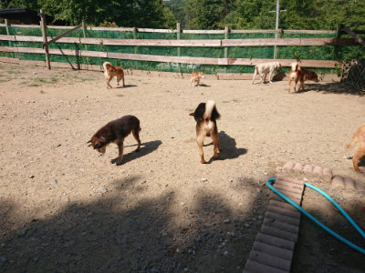 f:id:roukenhome-ann:20190811191549j:plain