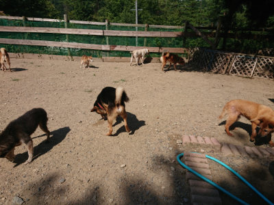 f:id:roukenhome-ann:20190811191606j:plain