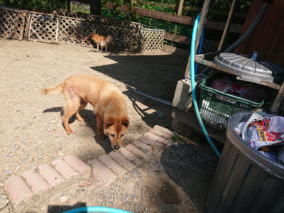 f:id:roukenhome-ann:20190811191635j:plain