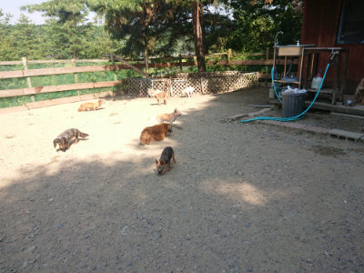 f:id:roukenhome-ann:20190811191643j:plain