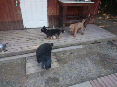 f:id:roukenhome-ann:20190811191658j:plain