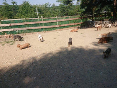 f:id:roukenhome-ann:20190811191703j:plain