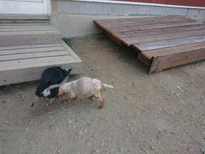 f:id:roukenhome-ann:20190811191719j:plain