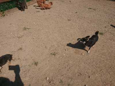 f:id:roukenhome-ann:20190811191730j:plain
