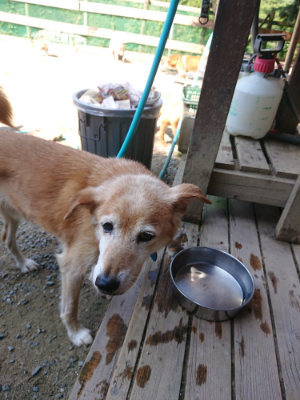 f:id:roukenhome-ann:20190811191736j:plain