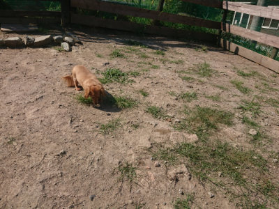 f:id:roukenhome-ann:20190811191849j:plain