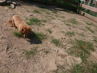 f:id:roukenhome-ann:20190811191906j:plain