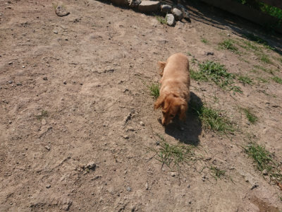 f:id:roukenhome-ann:20190811191925j:plain