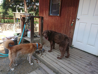 f:id:roukenhome-ann:20190811191936j:plain