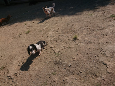 f:id:roukenhome-ann:20190811191942j:plain