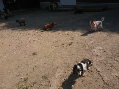 f:id:roukenhome-ann:20190811191948j:plain