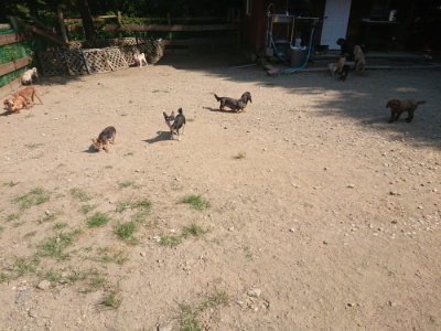 f:id:roukenhome-ann:20190811192005j:plain