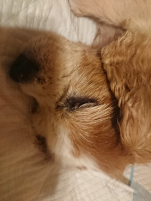 f:id:roukenhome-ann:20190811192043j:plain