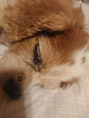 f:id:roukenhome-ann:20190811192048j:plain