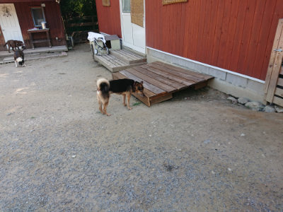 f:id:roukenhome-ann:20190811192131j:plain