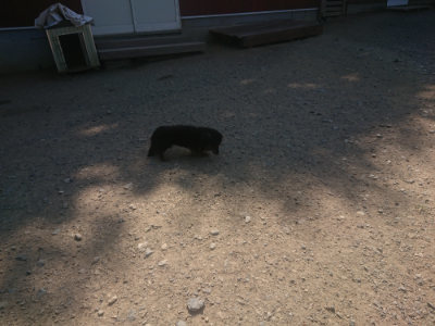 f:id:roukenhome-ann:20190811192243j:plain