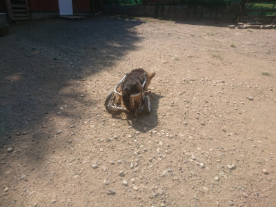 f:id:roukenhome-ann:20190811192248j:plain