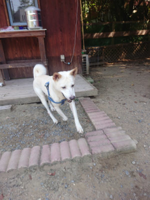 f:id:roukenhome-ann:20190811192253j:plain