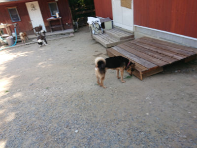 f:id:roukenhome-ann:20190811192327j:plain